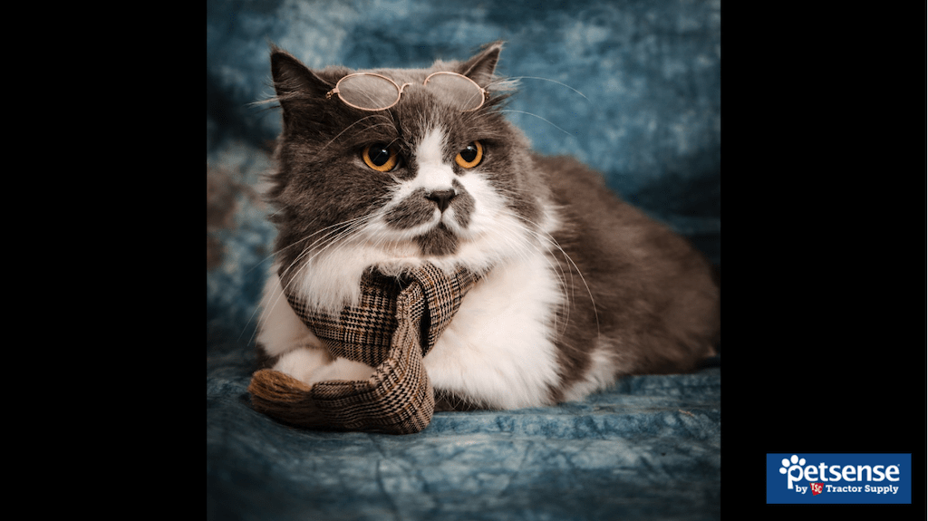 Tractor Supply Petsense