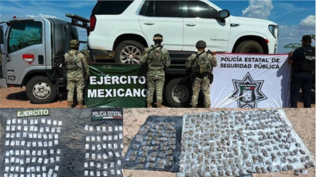 Decomisan millones de dosis de droga en Sonora; detienen a 155 personas en una semana