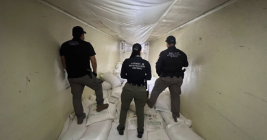 despliegue militar en Sinaloa-The Border Reports