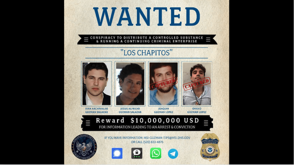 recompensa 10 millones chapitos