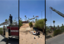 rescate arroyo tucson the border reports